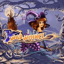  Wild Witches مراجعة