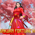 Reseña de Sakura Fortune 2 