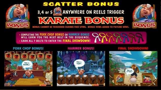 Karate Pig 1