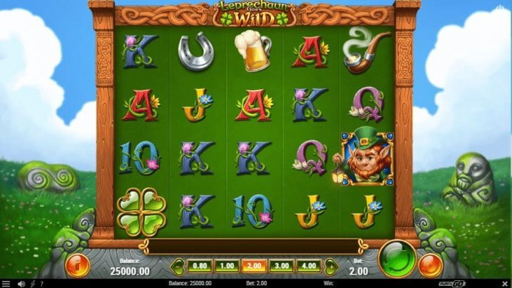 Leprechaun Goes Wild 1