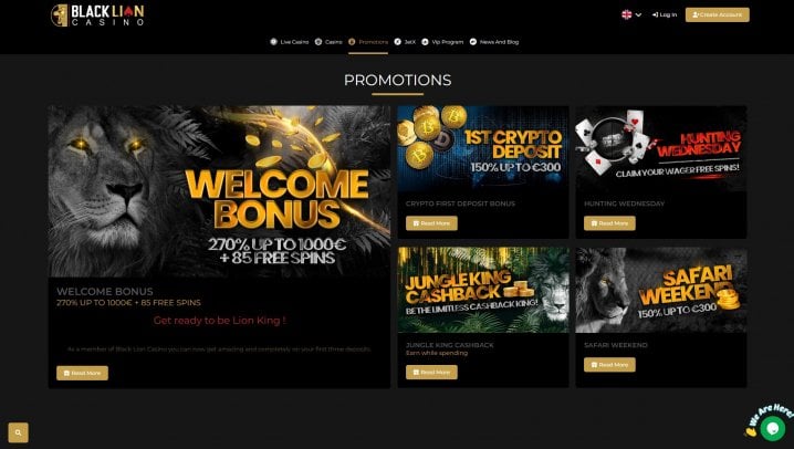 Black Lion Casino 2