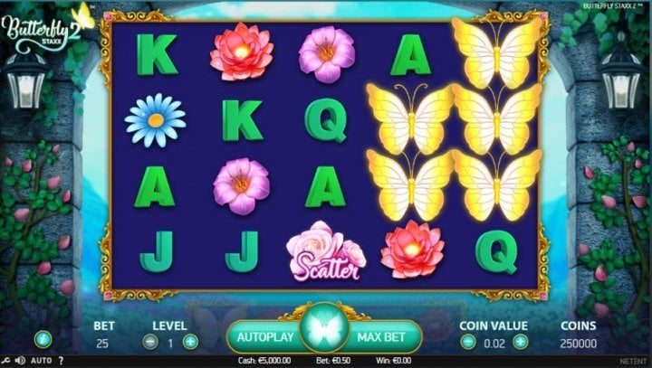 Butterfly Staxx 2 1