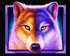Wolf Gold 4 Pack 3