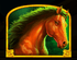 Wolf Gold 4 Pack 6