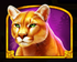 Wolf Gold 4 Pack 7