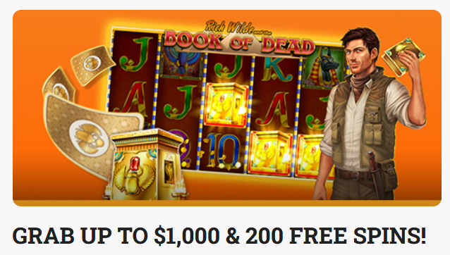 LeoVegas Casino 3