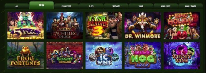 Springbok Casino 3