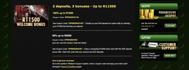 Springbok Casino 2