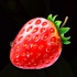 Juicy Fruits 8